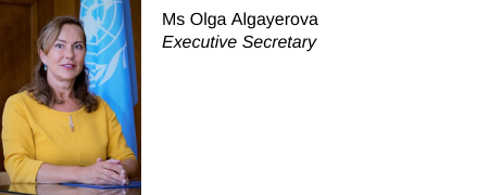 Olga Algayerova, Secrétaire exécutive