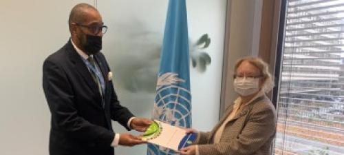 New Permanent Observer of the Organization of Eastern Caribbean States Presents Letter of Nomination to the Director-General of the United Nations Office at Geneva 