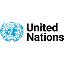Logo UN