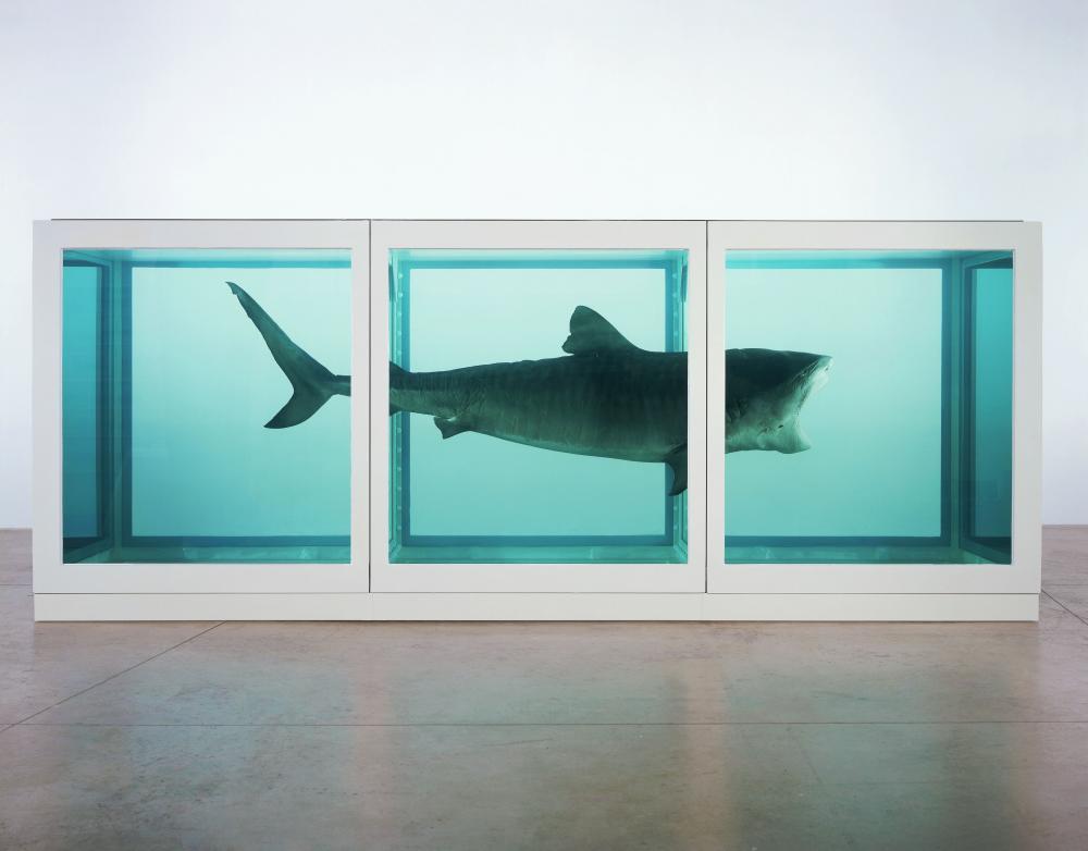 Damien Hirst (Bristol, 1965 - )  The Physical Impossibility of Death in the Mind of Someone Living (1991) Glass, painted steel, silicone, monofilament, shark and formaldehyde solution, 217 x 542 x 180 cm