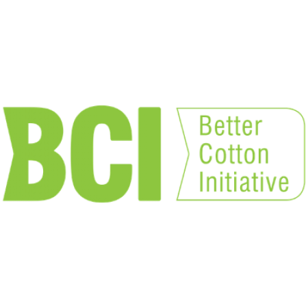 Logo BCI
