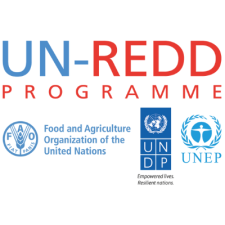 UN-REDD logo