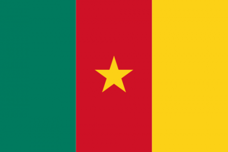 500px-flag_of_cameroon.svg_.png