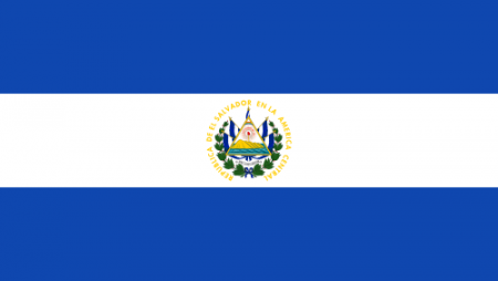 500px-flag_of_el_salvador.svg_.png