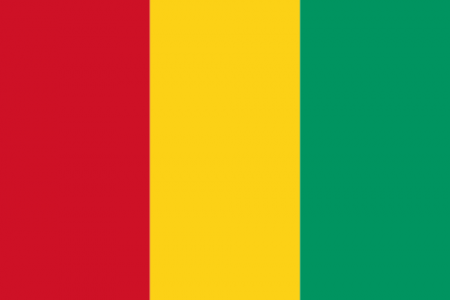 500px-flag_of_guinea.svg_.png