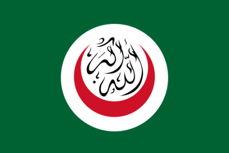 500px-flag_of_oic.svg_.png