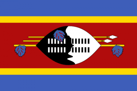 500px-flag_of_swaziland.svg_.png