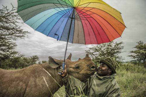 National Geographic magazine photographer, Ami Vitale took this image of Kamara nuzzled by Kilifi, an orphaned black rhino. Kamara hand-raised Kilifi, spending 12 hours every day watching over him at Lewa Wildlife Conservancy in Kenya.