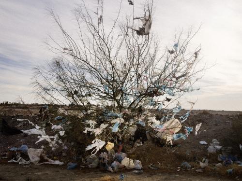 Here, the interrupted race of a multitude of plastic bags on the outskirts of the Tunisian city of Gafsa, photographed by Moises Saman in 2013